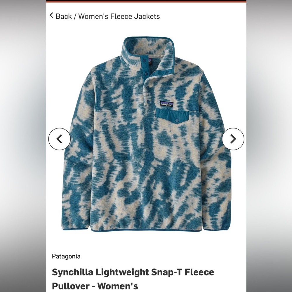 Patagonia Synchilla Lightweight Snap-T Fleece Pullover